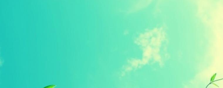 Времето на 8 август