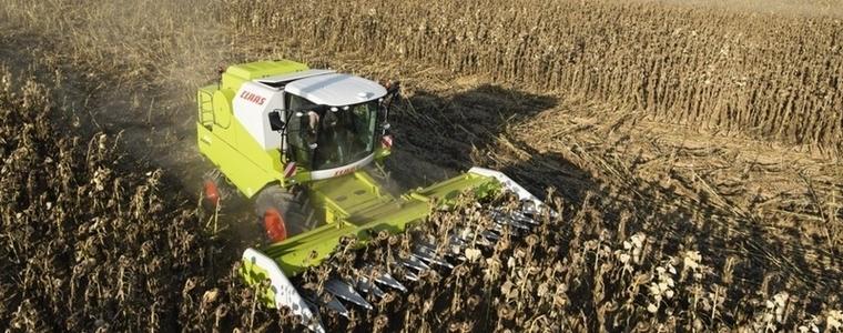 Слънчогледът не дава очакваните добиви, с по 40-50 кг. по-слаба реколта