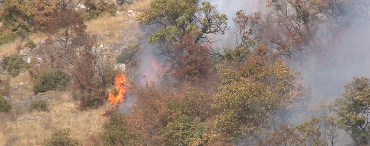 Голям пожар бушува в подножието на Бузлуджа заради пикник