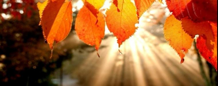 Циганско лято и в първите дни от ноември