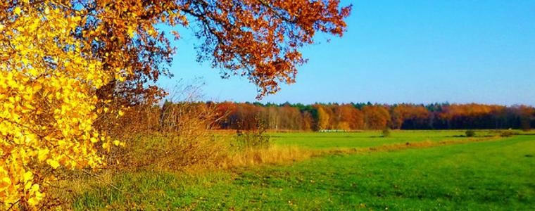 Прогноза за времето в неделя, 3 ноември