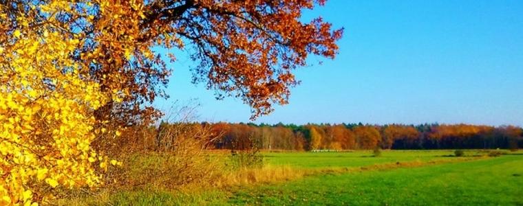 Прогноза за времето в понеделник
