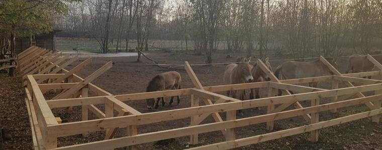 Продължават добрите практики между Зоопарка на Добрич и Шафхаузен