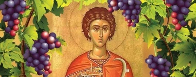 Днес е Трифоновден