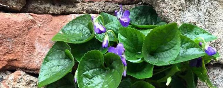 Слънце и вятър и в понеделник