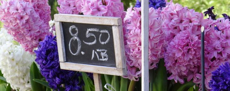 Два дни преди празника на жената – търговията с цветя в Добрич е вяла (ВИДЕО)