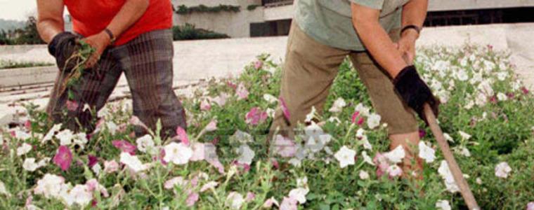 Най-много се търсят озеленители в момента