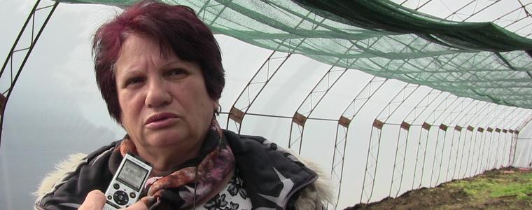 Новите оранжерии в общинския разсадник – улеснение и сигурност (ВИДЕО)