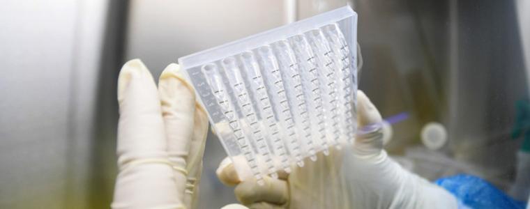 Няма нови случаи на заразени от снощи