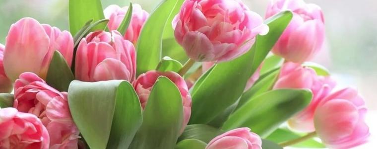 Отбелязваме Международния ден на жената 8 март