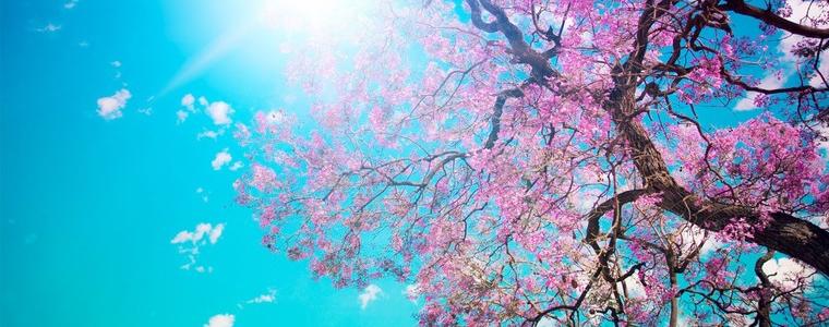 Слънчево преди обяд, краткотрайни превалявания следобед в понеделник, 30 март