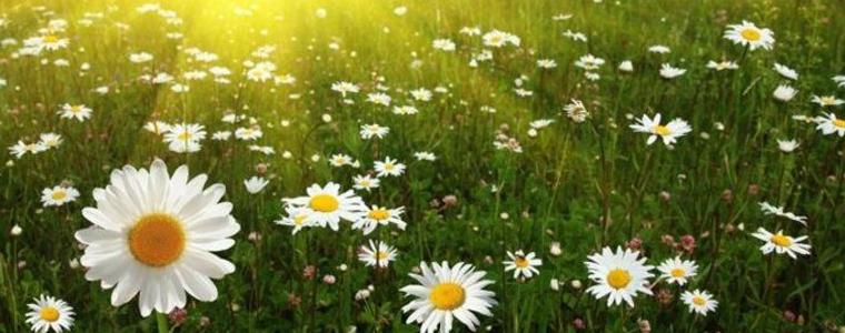 Времето ще се запази без промяна и утре