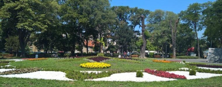 Обучение показва ще отворят ли парковете за майки с деца