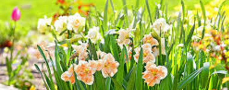 Променлива облачност до слънчево време в понеделник