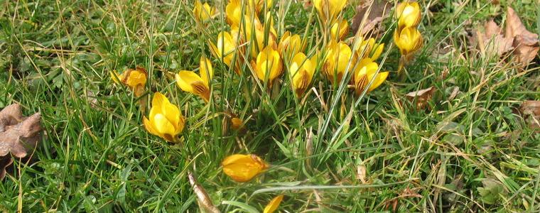 Променлива облачност в неделя, 5 април