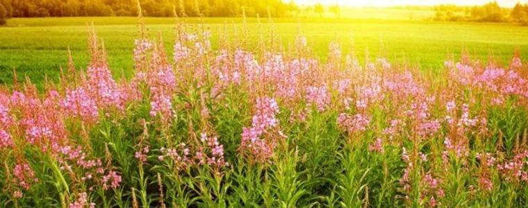 Слънчево време утре, 6 април