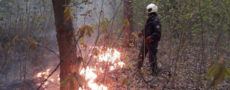 Задържаха мъж от Русе за палеж в района на Кобаклъка край Добрич