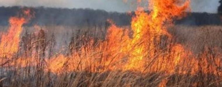 60 дка пшеница са засегнати при пожари в областта през уикенда
