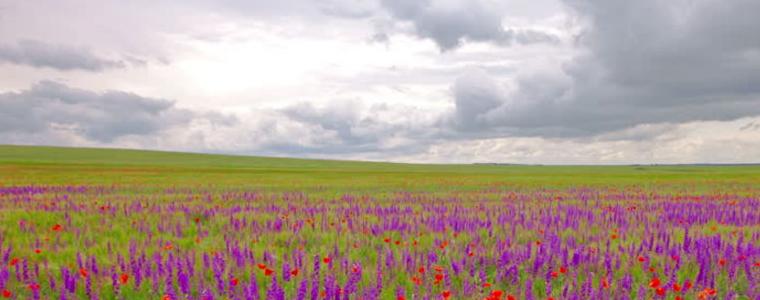 Прогноза за времето в сряда, 13 май 