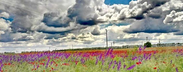 Променлива облачност утре, 25 май