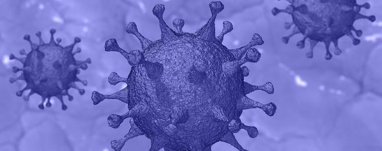 Само шест положителни проби на COVID-19 у нас за последното денонощие
