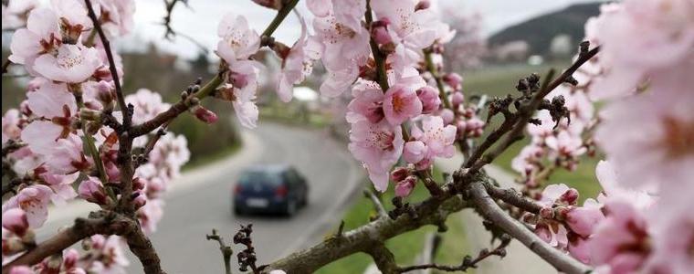 Времето на 11 май