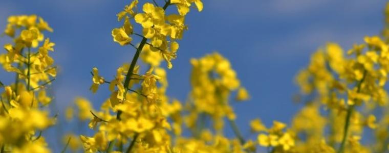 Времето остава облачно и в понеделник