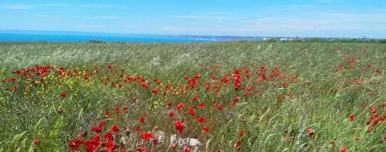  Значителна облачност утре, 26 май