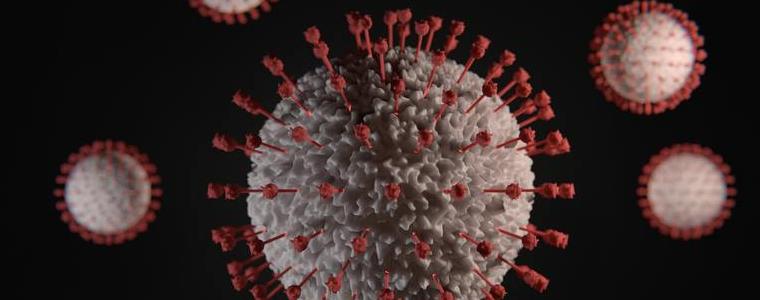 115 заразени с коронавирус за денонощието