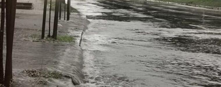 Екипи на Столичната община са регирали на 36 сигнала след бурята в София