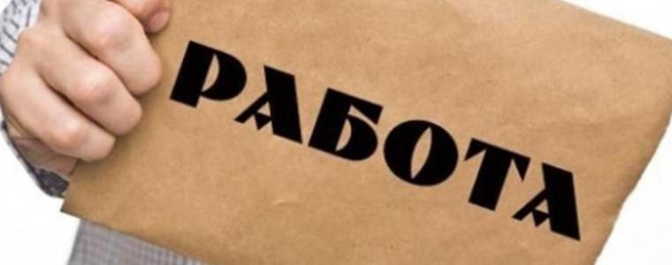 В началото на август ще стартира Регионална програма за заетост за Област Добрич