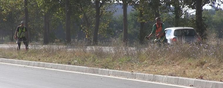 Бърза реакция на Община Добрич: Косят растителността по бул. „Добруджа“ (ВИДЕО)