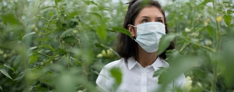 ДФЗ: Няма проблеми със системата за прием на заявления по мерки Covid 1 и Covid2