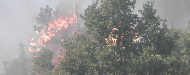 Два пожара в Сакар планина