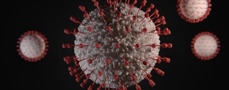 Отново 11 нови случаи на COVID-19 в област Добрич за денонощие