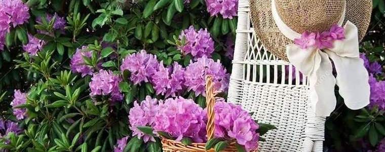 Прогноза за 30 август