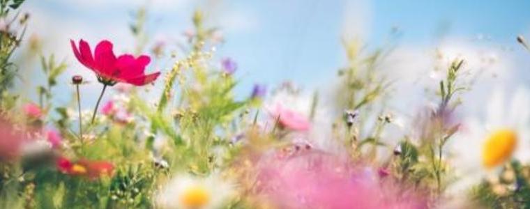 Прогноза за времето в събота