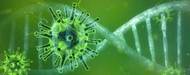 Седем са новите случаи на коронавирус в Добричка област