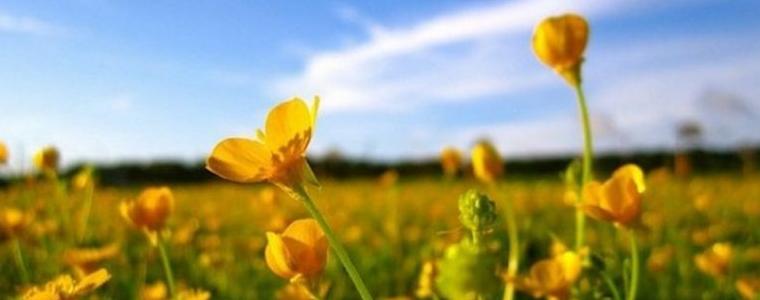 Топло и слънчево време и в петък