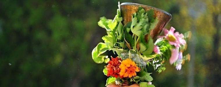 646 деца ще прекрачат за първи път училищния праг в Добрич