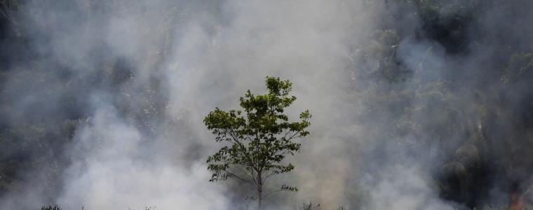 Пожарите в Амазонка са най-сериозните за последните 10 години