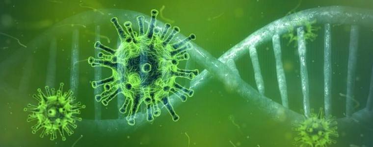 182 нови случая на COVID - 19 в страната, само един в област Добрич