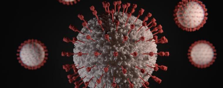 8 новорегистрирани с коронавирус в област Добрич