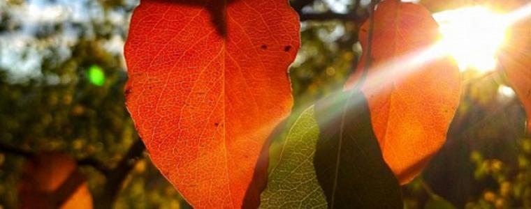 Прогноза за времето в понеделник - 5 октомври