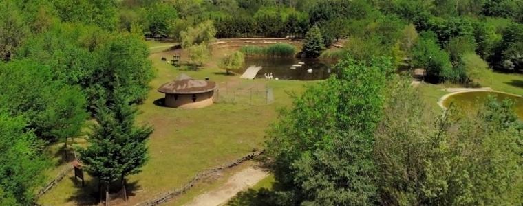 Безплатен транспорт до Зооцентъра в Добрич всеки уикенд до края на годината