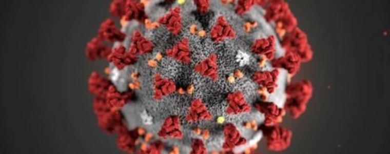 Над 22 000 новозаразени с коронавируса в Германия 