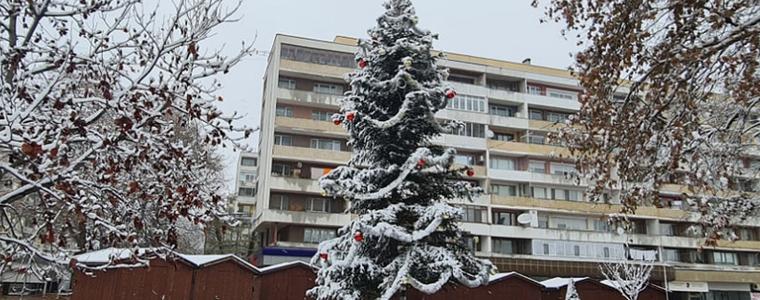 Днес ще грейнат светлините на Коледната елха в Добрич 