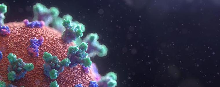 7 са новоустановените случаи на коронавирус в област Добрич