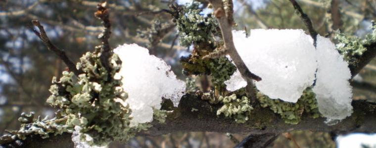 Времето в неделя - предимно облачно