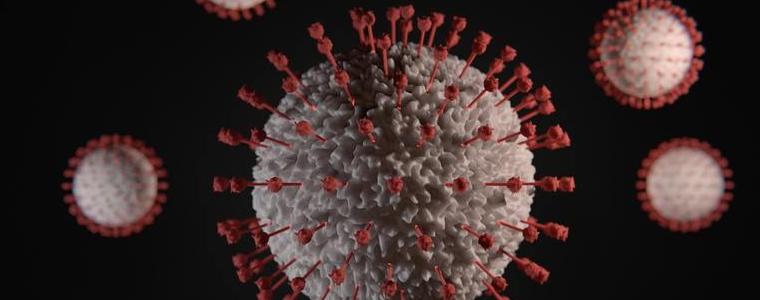 10 новорегистрирани с COVID-19 за област Добрич за денонощие